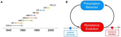 Social Learning of Prescribing Behavior Can Promote Population Optimum of Antibiotic Use